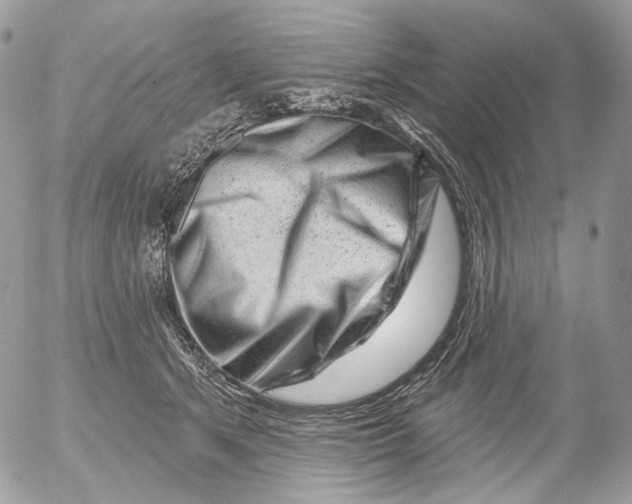 X0000052640513200507292309