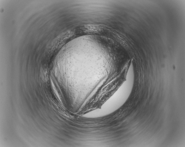 X0000052640514200507292309