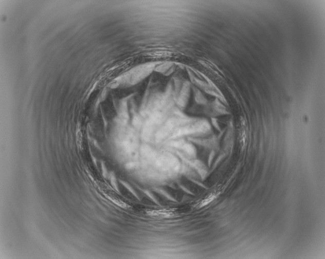 X0000052640516200507292309
