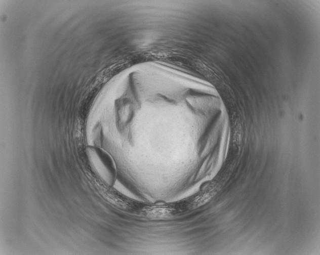 X0000052640518200507292308