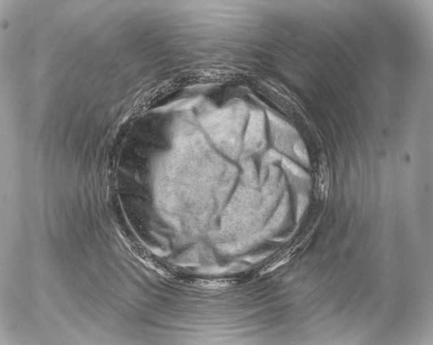 X0000052640520200507292308
