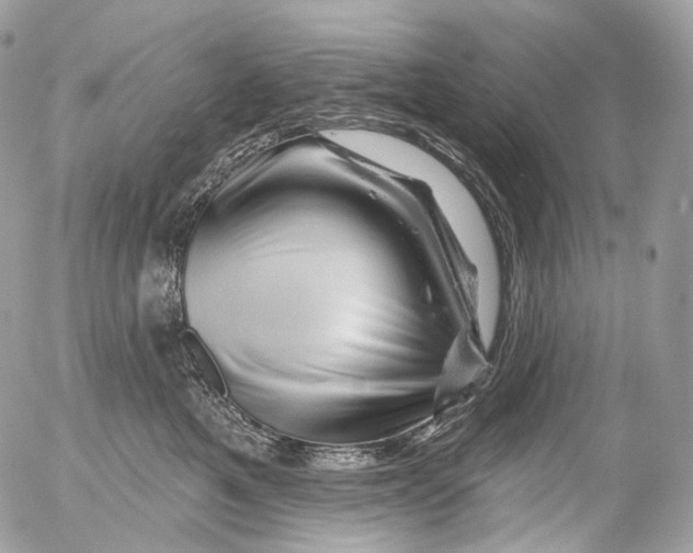 X0000052640521200507292308