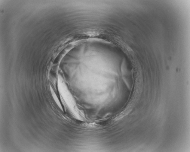 X0000052640528200507292308