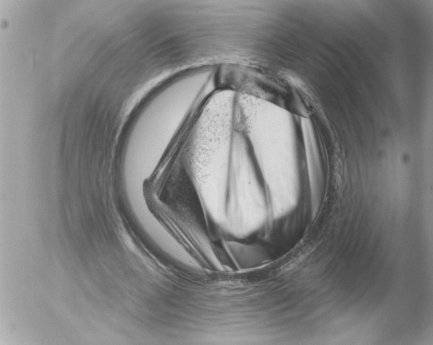 X0000052640536200507292308