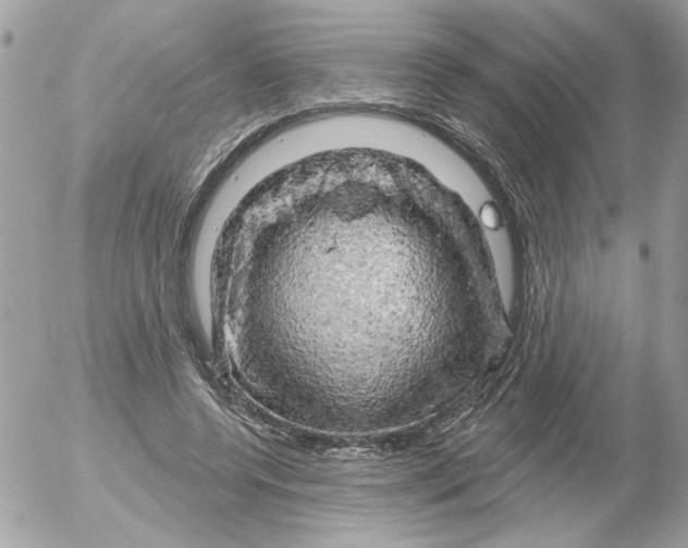X0000052640544200507292308