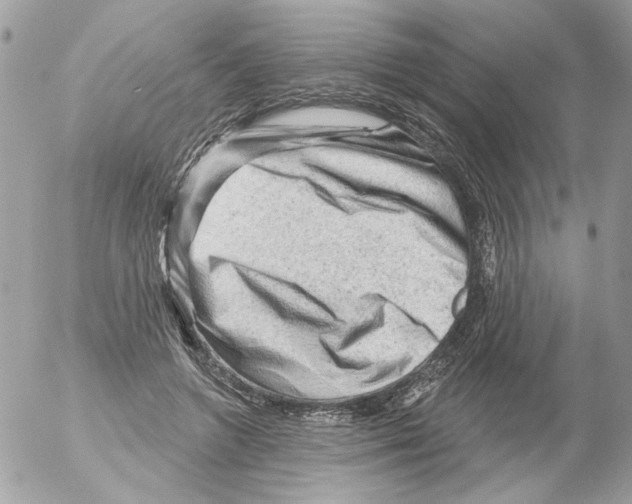 X0000052640546200507292308