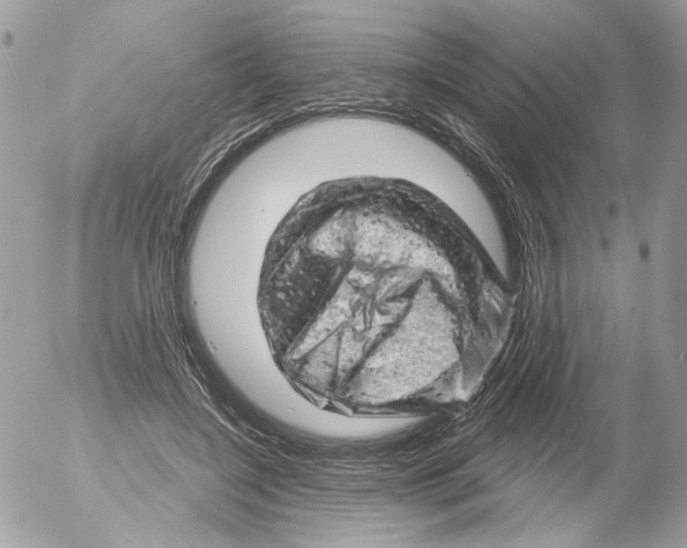 X0000052640548200507292308