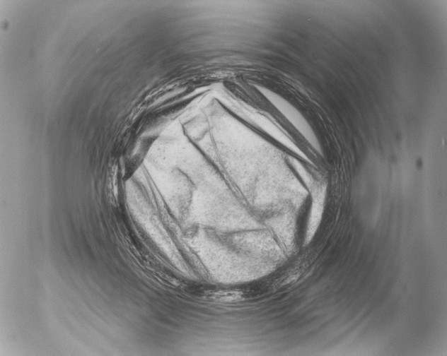 X0000052640554200507292308