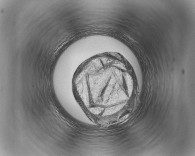 X0000052640556200507292308