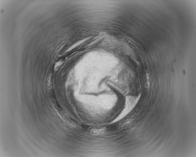 X0000052640560200507292308