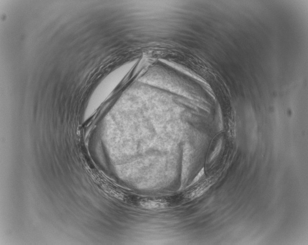 X0000052640561200507292308