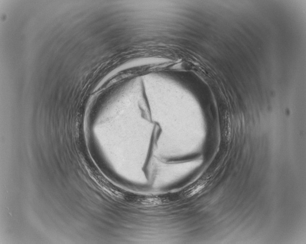 X0000052640562200507292308