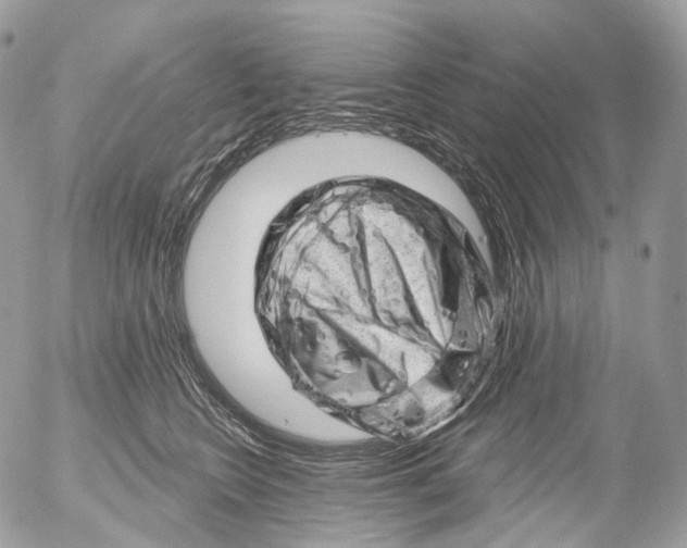 X0000052640566200507292308