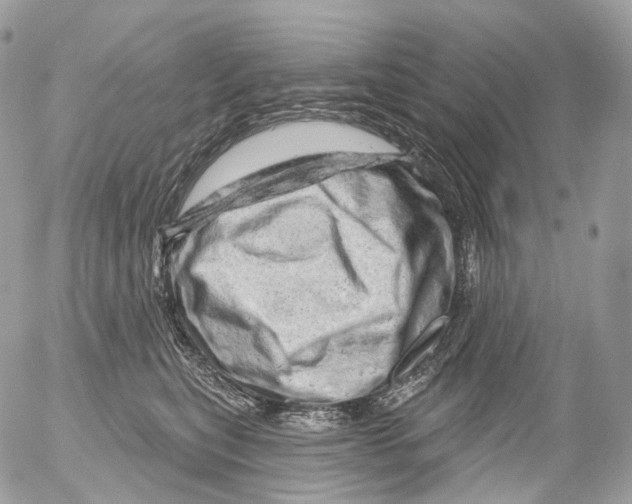 X0000052640567200507292308