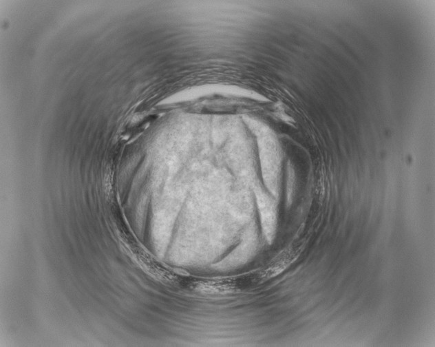 X0000052640568200507292308