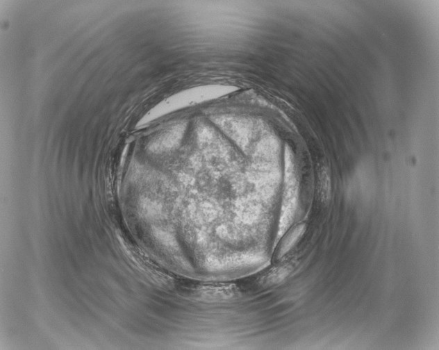 X0000052640571200507292308