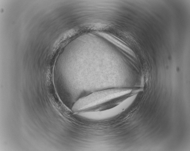 X0000052640591200507292307