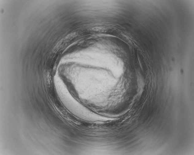X0000052640597200507292307