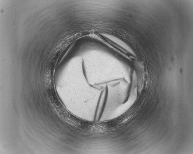 X0000052640599200507292307