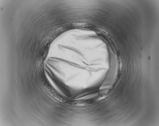 X0000052640601200507292307