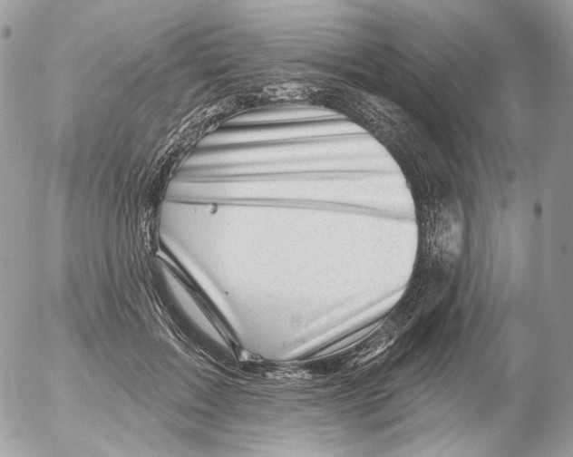 X0000052640603200507292307