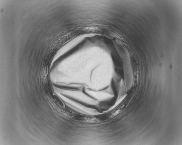 X0000052640605200507292307