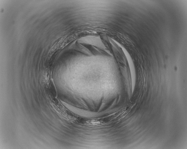 X0000052640607200507292307