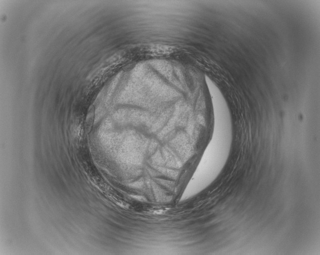 X0000052640608200507292307