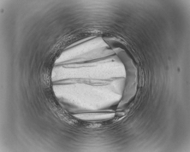 X0000052640609200507292307