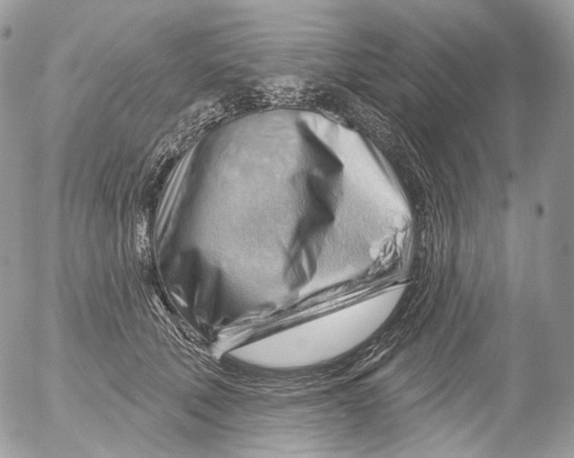 X0000052640610200507292307