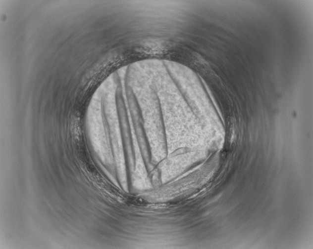 X0000052640612200507292307