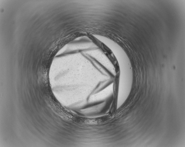 X0000052640613200507292307