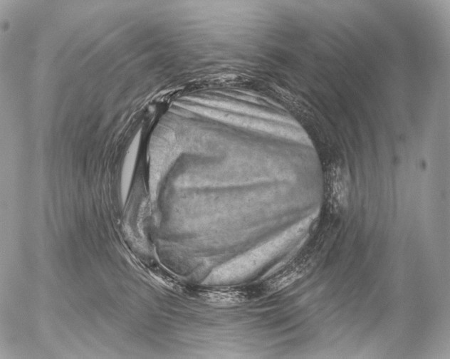 X0000052640615200507292307