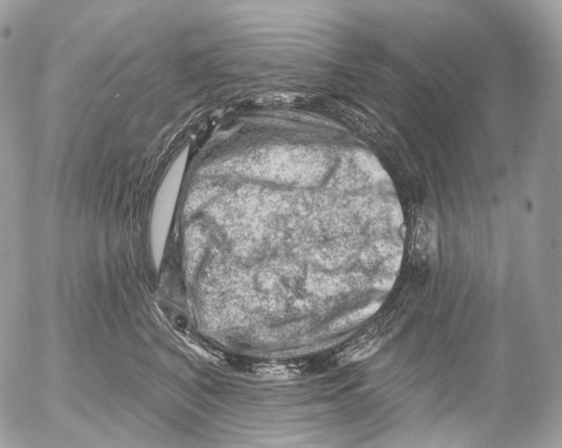 X0000052640616200507292307