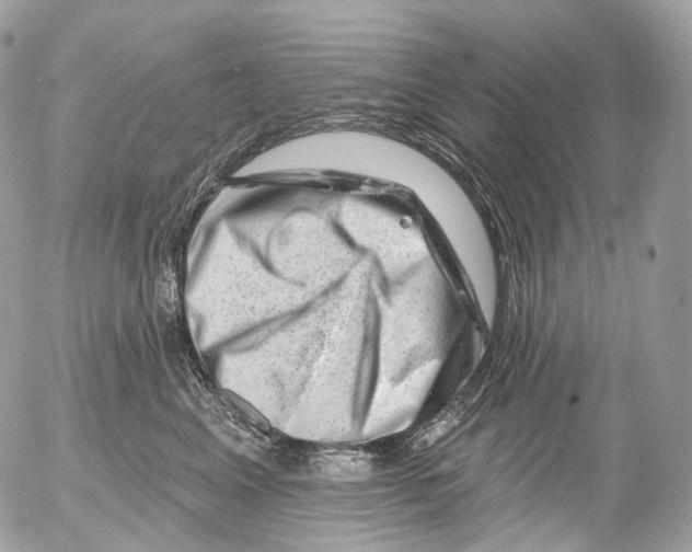 X0000052640617200507292307