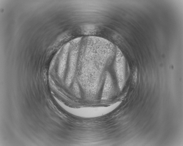 X0000052640620200507292307