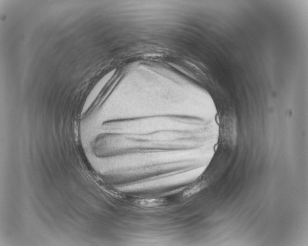 X0000052640622200507292307