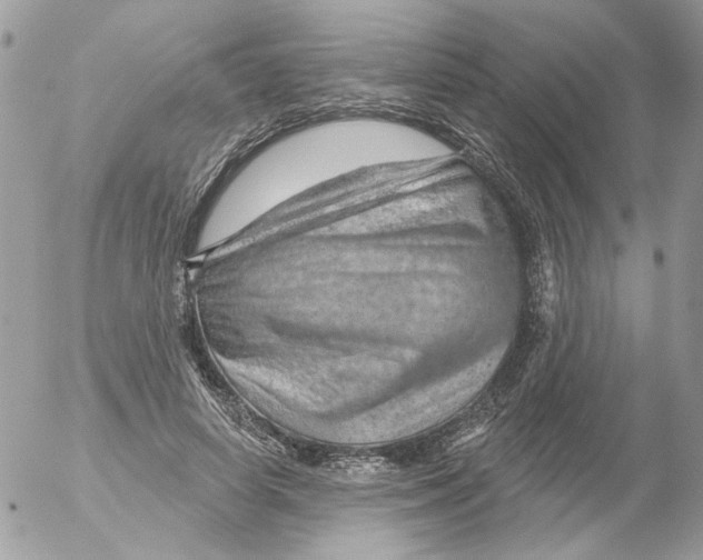 X0000052640642200507292306