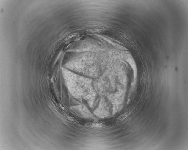 X0000052640647200507292306