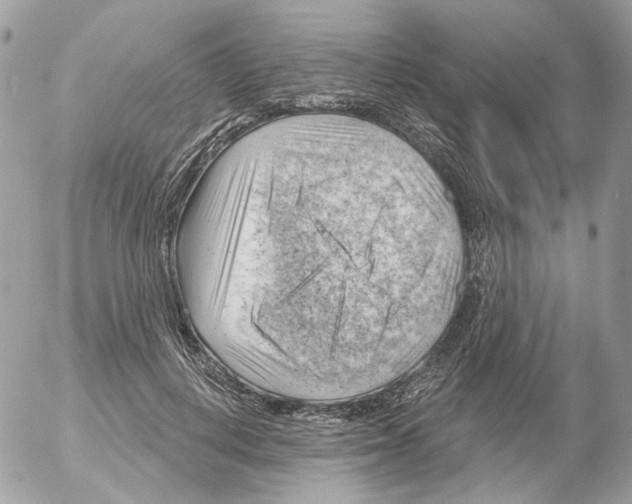 X0000052640648200507292306