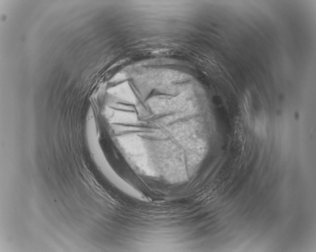 X0000052640650200507292306