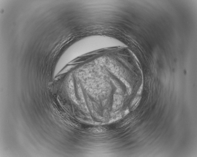 X0000052640652200507292306
