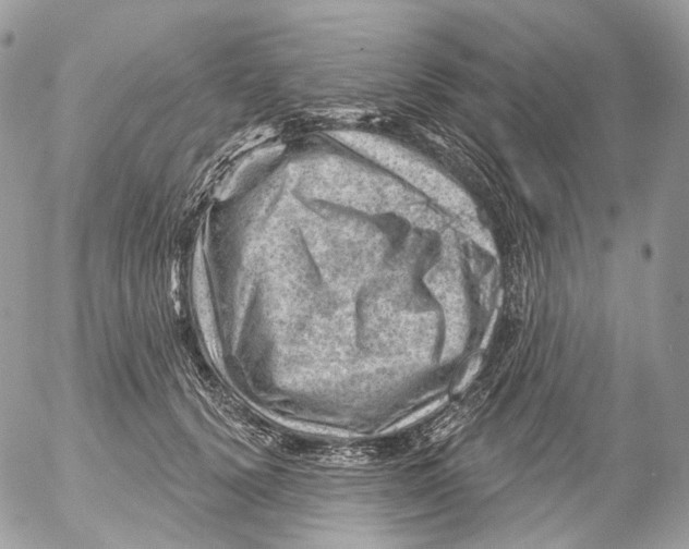 X0000052640656200507292306