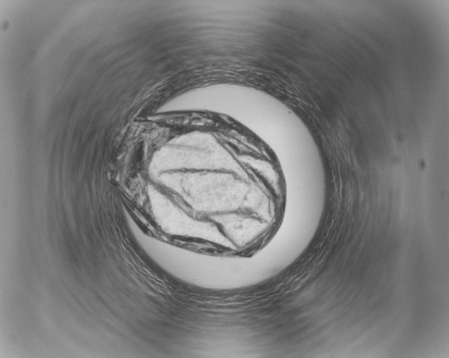 X0000052640657200507292306