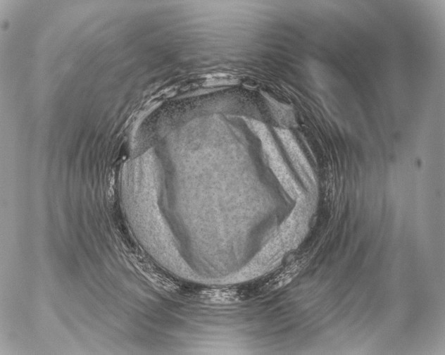 X0000052640660200507292307