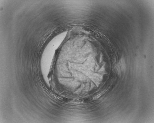X0000052640661200507292307