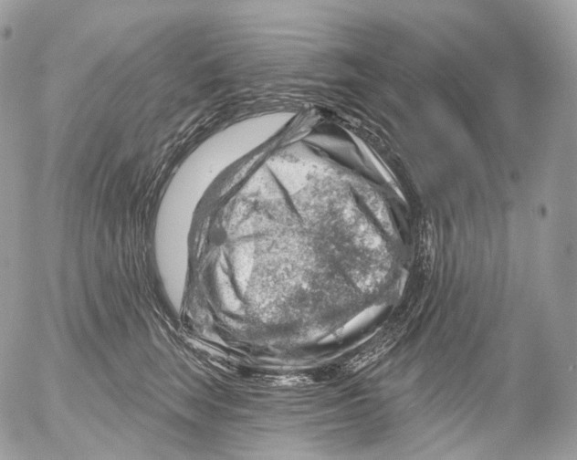 X0000052640663200507292307