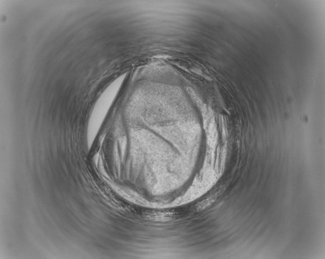 X0000052640664200507292307
