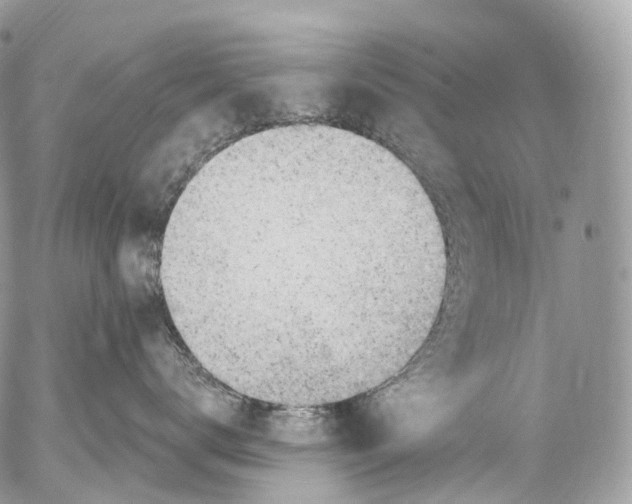 X0000052640672200507292307
