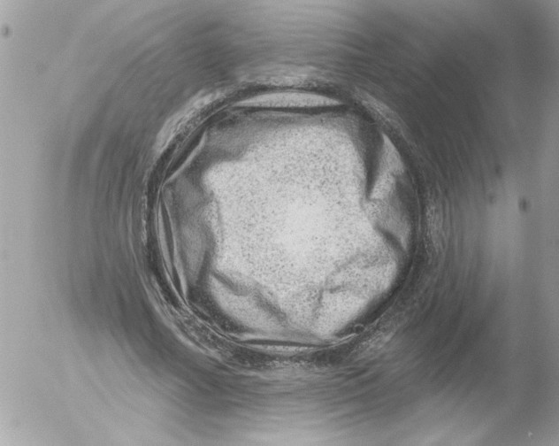 X0000052640682200507292306